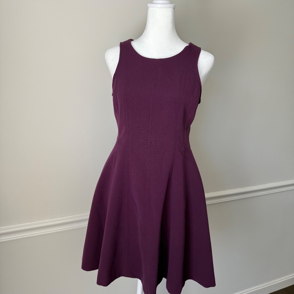 Banana Republic Purple Plum Fit & Flare Dress Size 4P